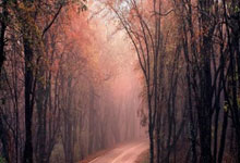 山东泰山内部会议纪要流出——赛前复出首秀，CBA季后赛使命明确，医务组通报恢复的简单介绍-贝博在线登入